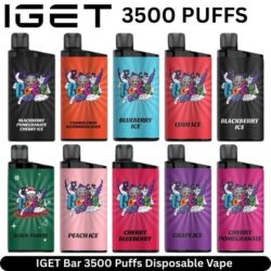 IGET Bar 3500 Puffs Disposable Vape