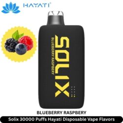 Hayati Solix 30000 Puffs Disposable Vape 2 Solix 30000 Puffs Hayati Disposable Bluberry Raspberry