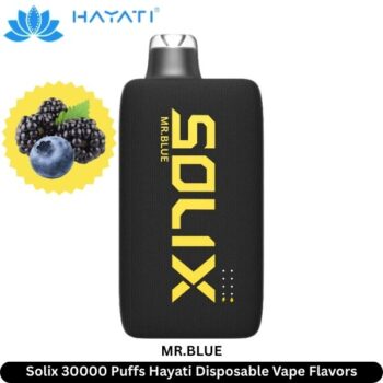 Solix 30000 Puffs Hayati Disposable Vape Mr.Blue
