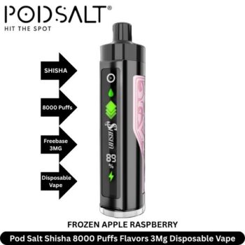 Pod Salt Shisha 8000 Puffs Flavors Frozen Apple Raspberry
