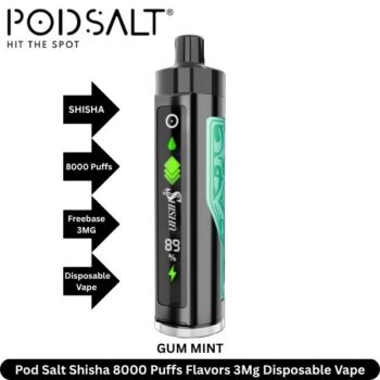 Pod Salt Shisha 8000 Puffs Flavors Gum Mint