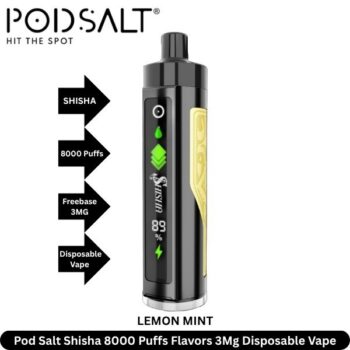 Pod Salt Shisha 8000 Puffs Flavors Lenon Mint