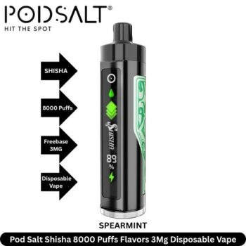 Pod Salt Shisha 8000 Puffs Flavors Spearmint