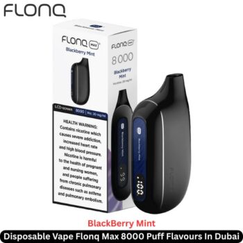 Flonq Max 8000 Puff Flavours Blackberry Mint In Dubai