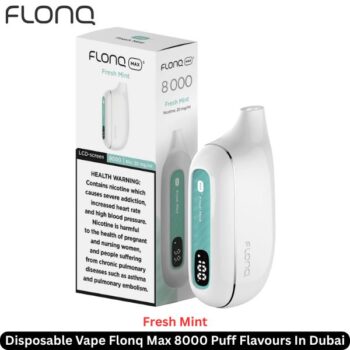 Flonq Max 8000 Puff Flavours Fresh Mint In Dubai