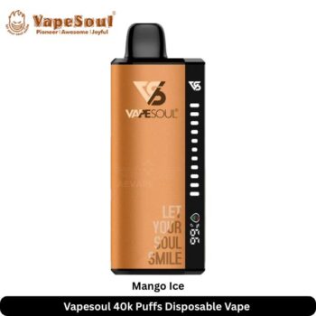 Vapesoul 40k Puffs Disposable Vape Mango Ice