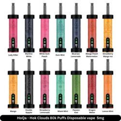 HoQa Hok Clouds 80k Puffs Disposable vape 5mg