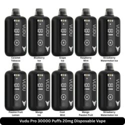 Vudu Pro 30000 Puffs 20mg Disposable Vape