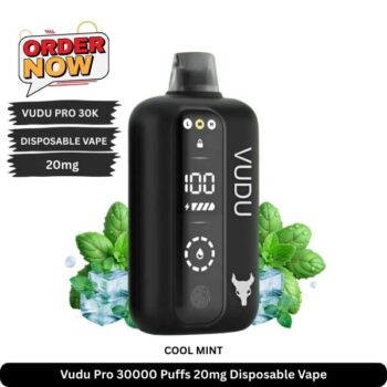 Vudu Pro 30000 Puffs 20mg Disposable Vape Cool Mint
