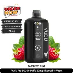 Vudu Pro 30000 Puffs 20mg Disposable Vape Raspberry Mint