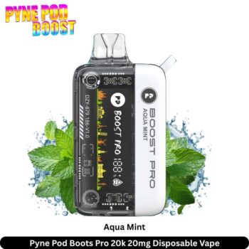 Pyne Pod Boots Pro 20k Disposable Vape Aqua Mint