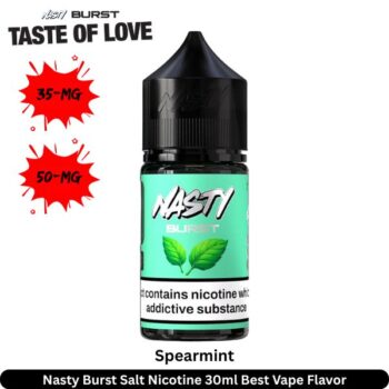 Nasty Burst Spearmint Salt Nicotine 30ml
