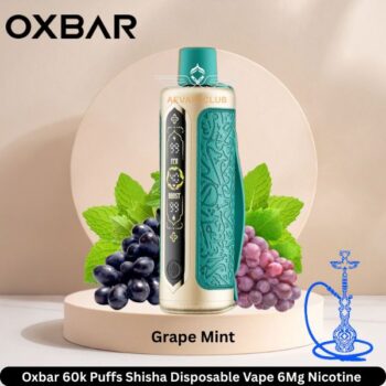 Oxbar 60k Puffs Shisha Disposable Vape Grape Mint