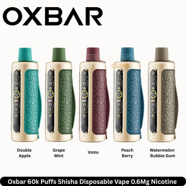 Oxbar 60k Puffs Shisha Disposable Vape