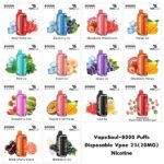 VapeSoul Starlight 80k Flavours Disposable Vape